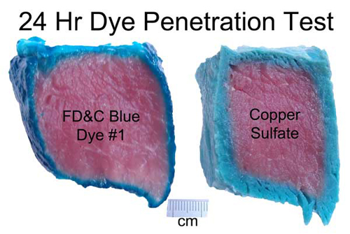 food coloring and copper sulfate dye penetration pork