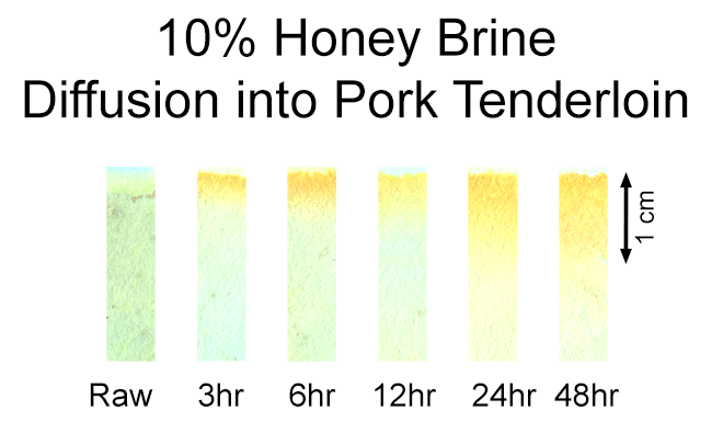 10% honey brine diffusion into pork tenderloin vs time
