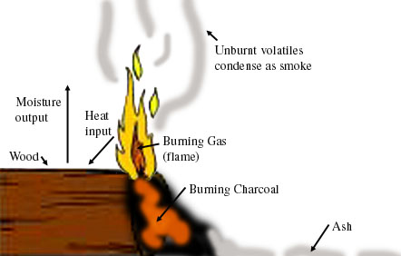 Wood Fuel For Barbecue